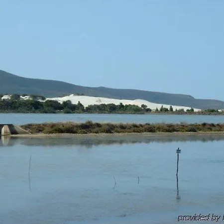 Le Palme SantʼAnna Arresi